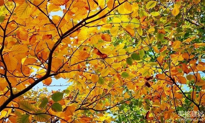 瀏陽公司做網(wǎng)站如何控制成本？（瀏陽公司做網(wǎng)站控制成本的6個(gè)關(guān)鍵）